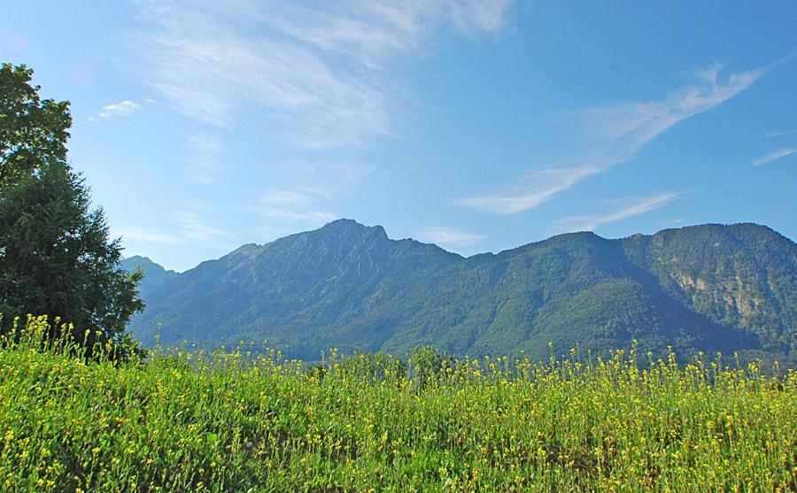 Boardinghouse Apartment Bad Reichenhall Ngoại thất bức ảnh